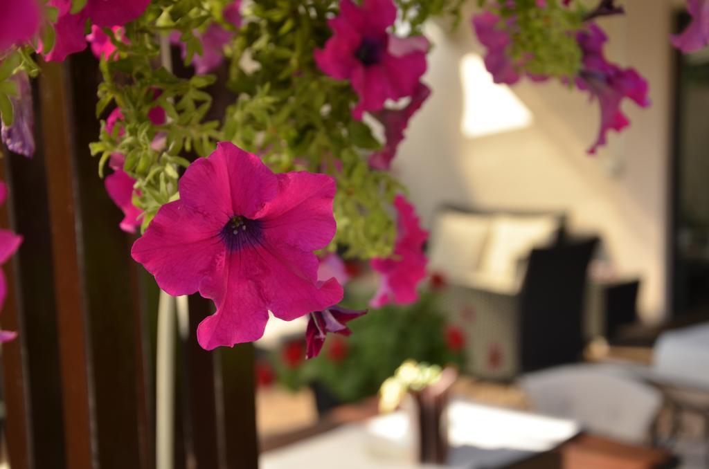 Hotel Topcider Beograd Bagian luar foto
